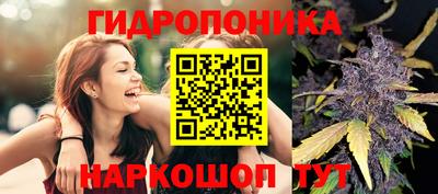 МДПВ Краснознаменск
