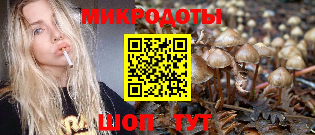 Псилоцибиновые грибы прущие грибы  Вход с VPN  Карпинск 